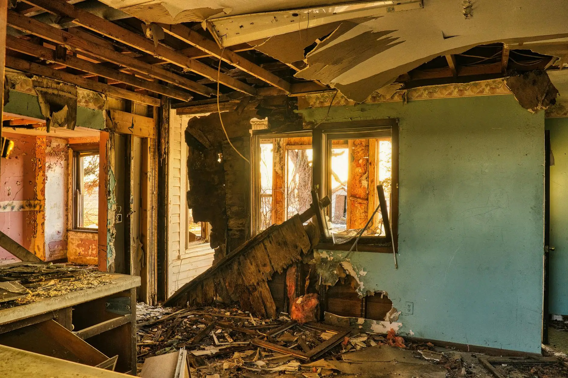 Sparks' Trusted Mold Removal & Remediation Specialists — Sparks, NV