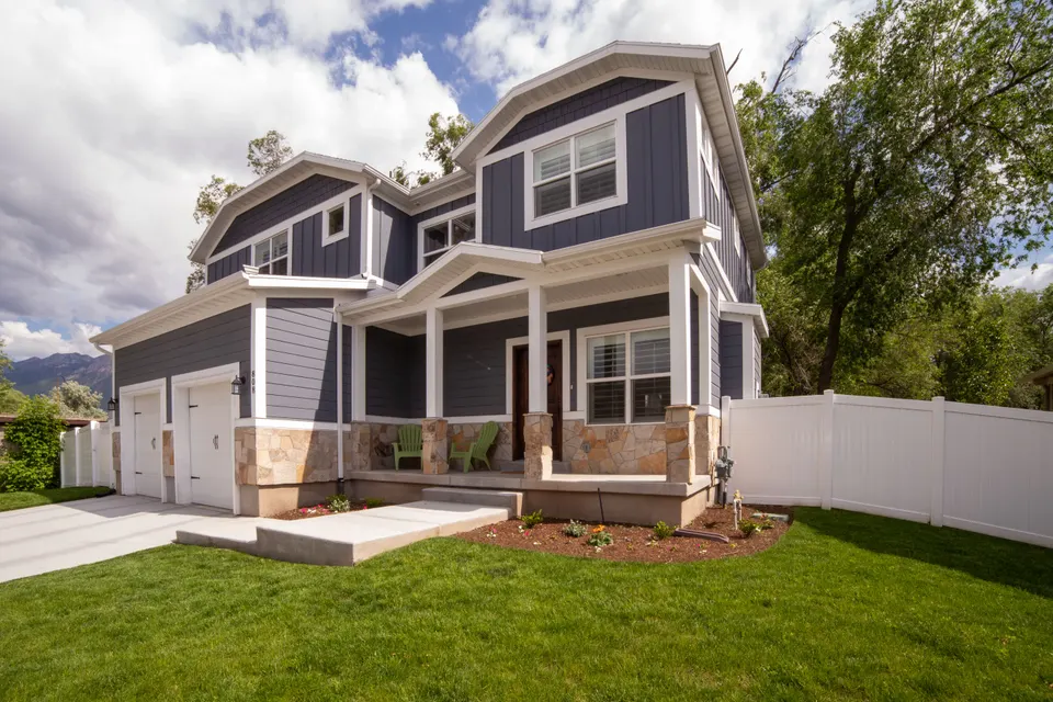 mold removal Carson City