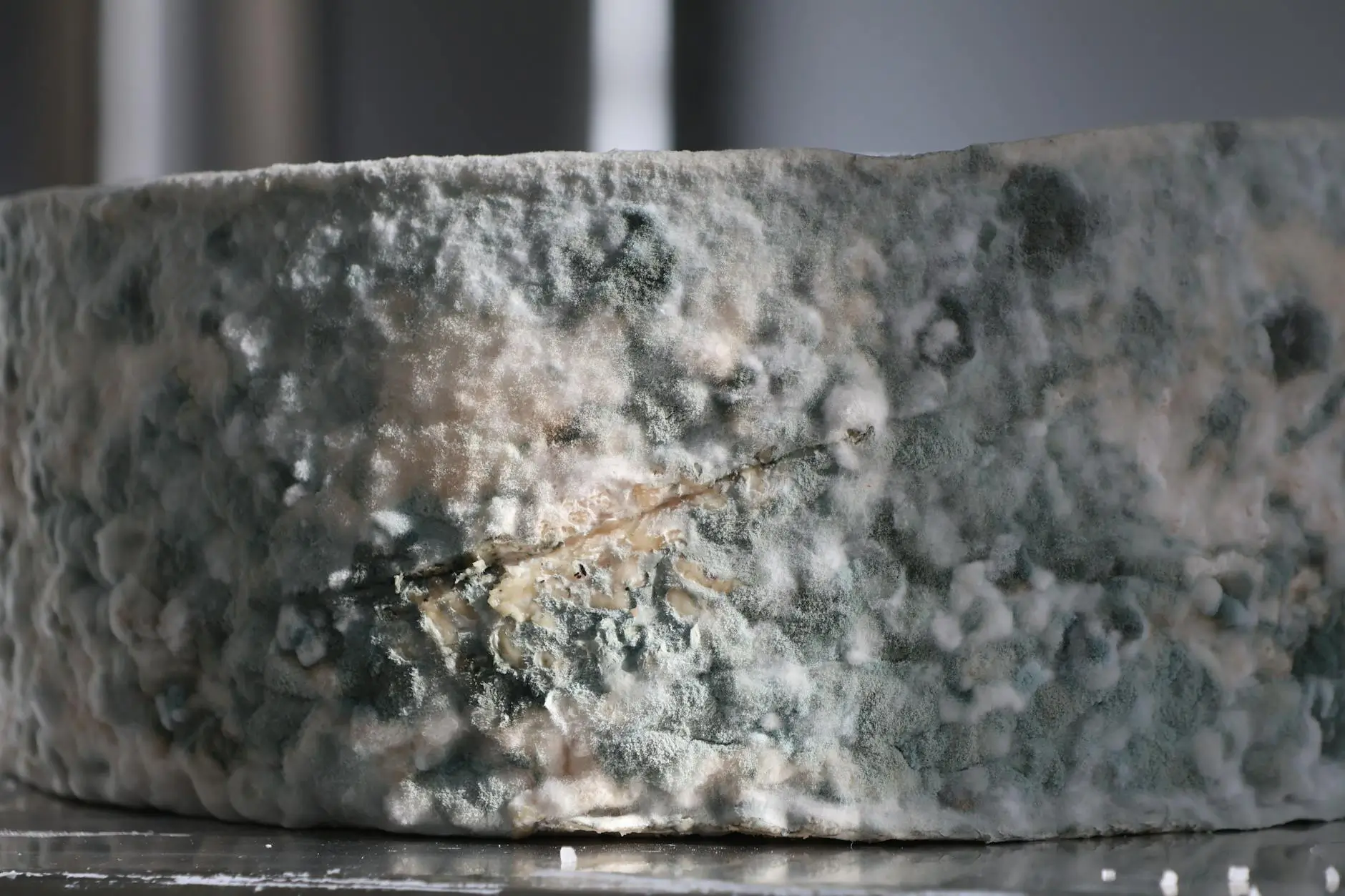 Detect Hidden Moisture & Mold Before It Spreads — Sparks